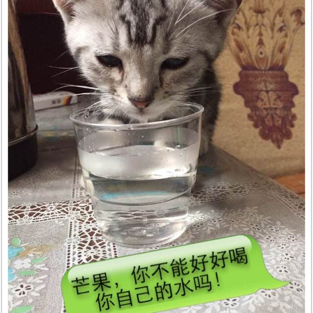 理海大学学士成绩单